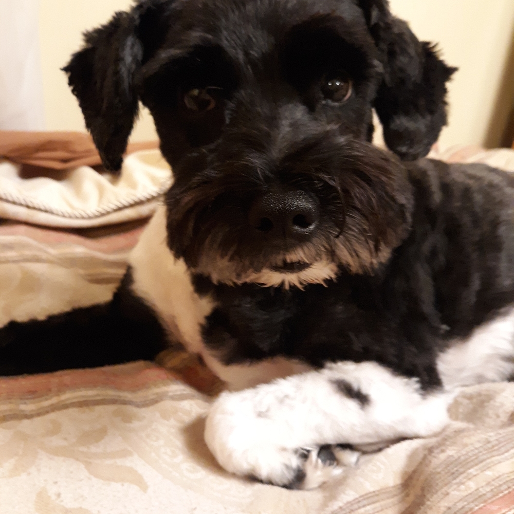 Meet your Posher, Shylin⭐️ Posh Ambassador ⭐️